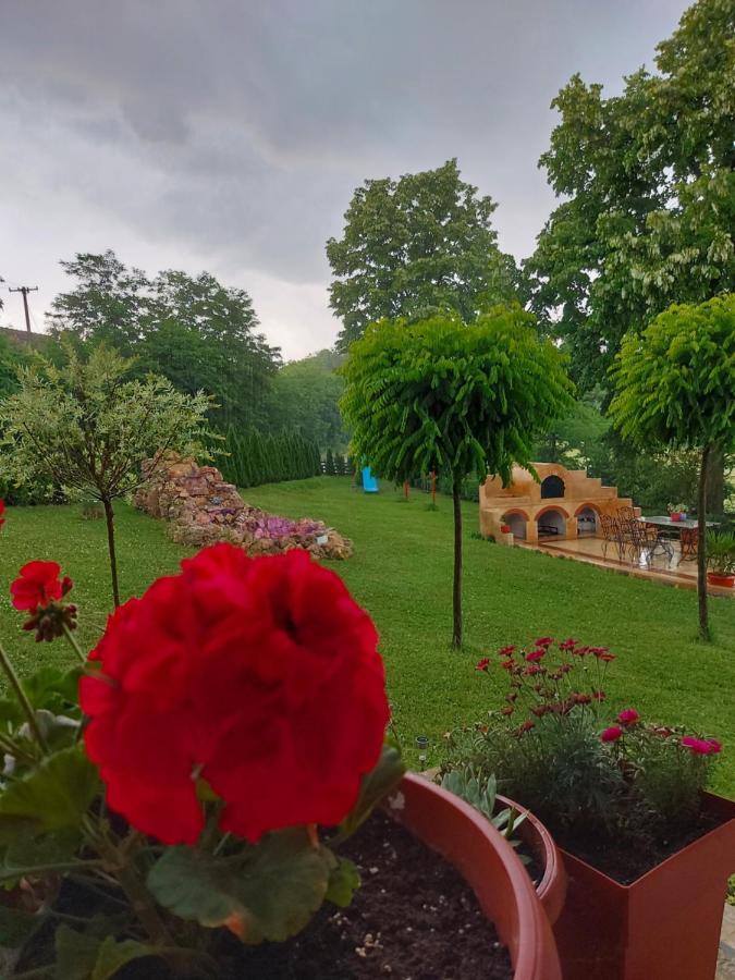 Kuca Za Uzivanje Valjevo Ngoại thất bức ảnh