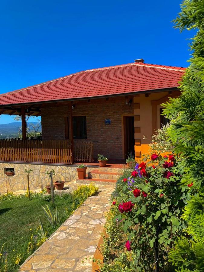 Kuca Za Uzivanje Valjevo Ngoại thất bức ảnh